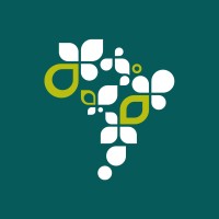 Hy Brazil Energia logo - Similar company to Scava
