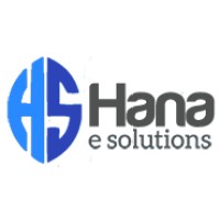 Hana E Solutions Inc logo - Similar company to Zerabit Solutions