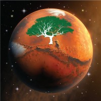 Darwin Galactic logo - Similar company to Computable Insights Llc