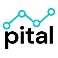 Pital & Co logo - Similar company to Mystic Labs