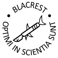 BLACREST logo - Similar company to The Kitchen Au