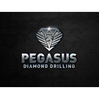 pegasus diamond drilling logo - Similar company to Clear Cut General Contracting