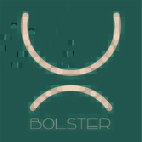 Bolster - Coaching logo - Similar company to Kempa Products