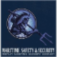 Maritime Safety & Security Ltd. logo - Similar company to Ple Group