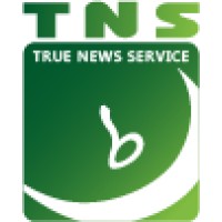 TNS News logo - Similar company to Moody Studio