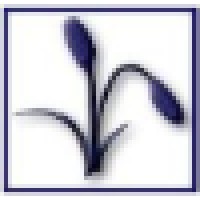 Ceres Financial Group, Inc.