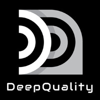 DeepQuality Inc. logo - Similar company to Sa4Hr Solutions