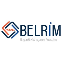 Young BELRIM logo - Similar company to Belrim - Belgian Risk Management Association