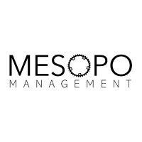MESOPO Management Services logo - Similar company to Adsum Software Experience