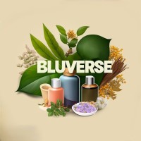 Bluverse logo - Similar company to Coraloom