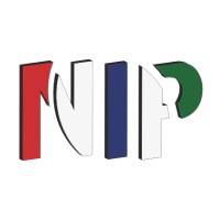 NETVISION IP LTD logo - Similar company to Activate - Workman Placemaking