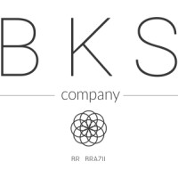 BKS Company logo - Similar company to Convexa