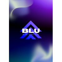 Blu advertising & creative agency logo - Similar company to Blu Dragonfly Llc