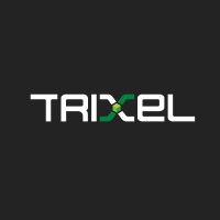 Trixel Studios logo - Similar company to Ubitc Group