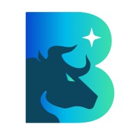Stier Beratung GmbH logo - Similar company to Zetpe