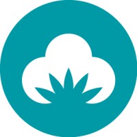 MerchCamp logo - Similar company to Merch Piratin