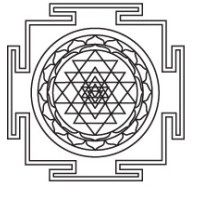 Transformative Inquiry Department logo - Similar company to The Australian Centre For Philanthropy And Nonprofit Studies (Acpns)