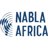 Nabla Africa logo - Similar company to Phakama Llc