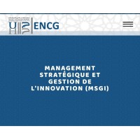 MSGI ENCG C logo - Similar company to For Your Brain