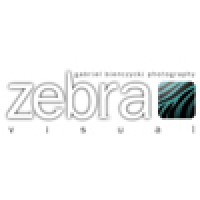 Zebra Visual