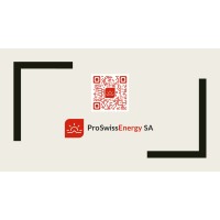 ProSwissEnergy SA logo - Similar company to Skills Force Sàrl