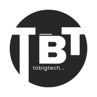 To Big Tech solutions logo - Similar company to Starbloom