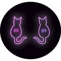 N Qubit Labs logo - Similar company to Ayzenn Technologies