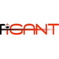 FiGANT Official logo - Similar company to Great Nash