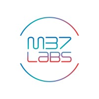M37Labs logo - Similar company to Kai-T