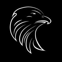 Black Hawk Eagle Consulting logo - Similar company to Elevation Financial Advisor Services