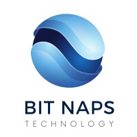 BitNaps logo - Similar company to Swipe Tech Studio