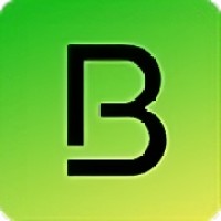 BAIONITY logo - Similar company to Shadow Your Future Gmbh