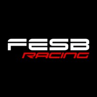 FESB Racing logo - Similar company to Levabyt