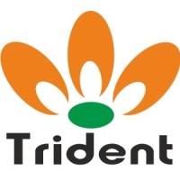 TRIDENT CHEMPHAR LIMITED logo - Similar company to Benzene Pharma