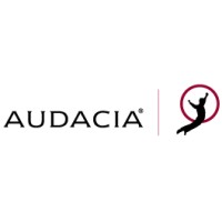 Audacia Solutions logo - Similar company to Wink Srl
