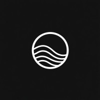 SelvaFlux logo - Similar company to Irisk Software