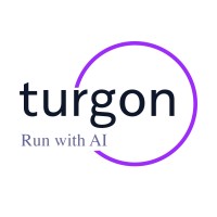 Turgon AI logo - Similar company to Wexus