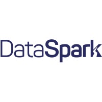 DataSpark logo - Similar company to Dataspark