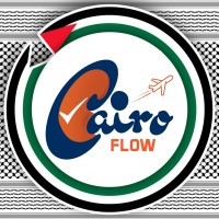 cairo  dataflow logo - Similar company to The University Of Tokyo Hospital