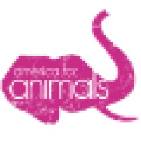 America For Animals