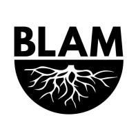 BLAM Charity ( Black Learning Achievement and Mental Health) logo - Similar company to The Black, African And Asian Therapy Network - Baatn