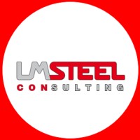 LMSteel Consulting sagl logo - Similar company to Lmv Group