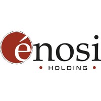 Enosi Holding S.r.l. logo - Similar company to Celera Digital