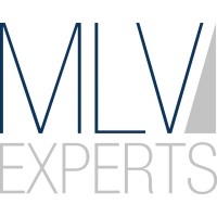 MLV Experts GmbH & Co. KG logo - Similar company to Bfre