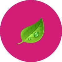 The DyePlay logo - Similar company to Concept Source Inc