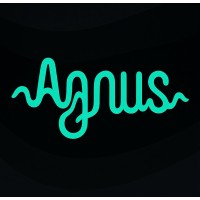 Agnus Media logo - Similar company to Clickables