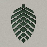 Conifer Advising logo - Similar company to Odk.Design