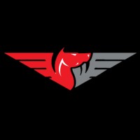 Pegasus Aero Services logo - Similar company to Odl Services