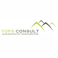 TOPS Consult logo - Similar company to Decorative Paper