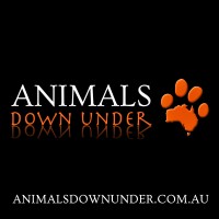 Animals Down Under logo - Similar company to Powerhouse Workforce
